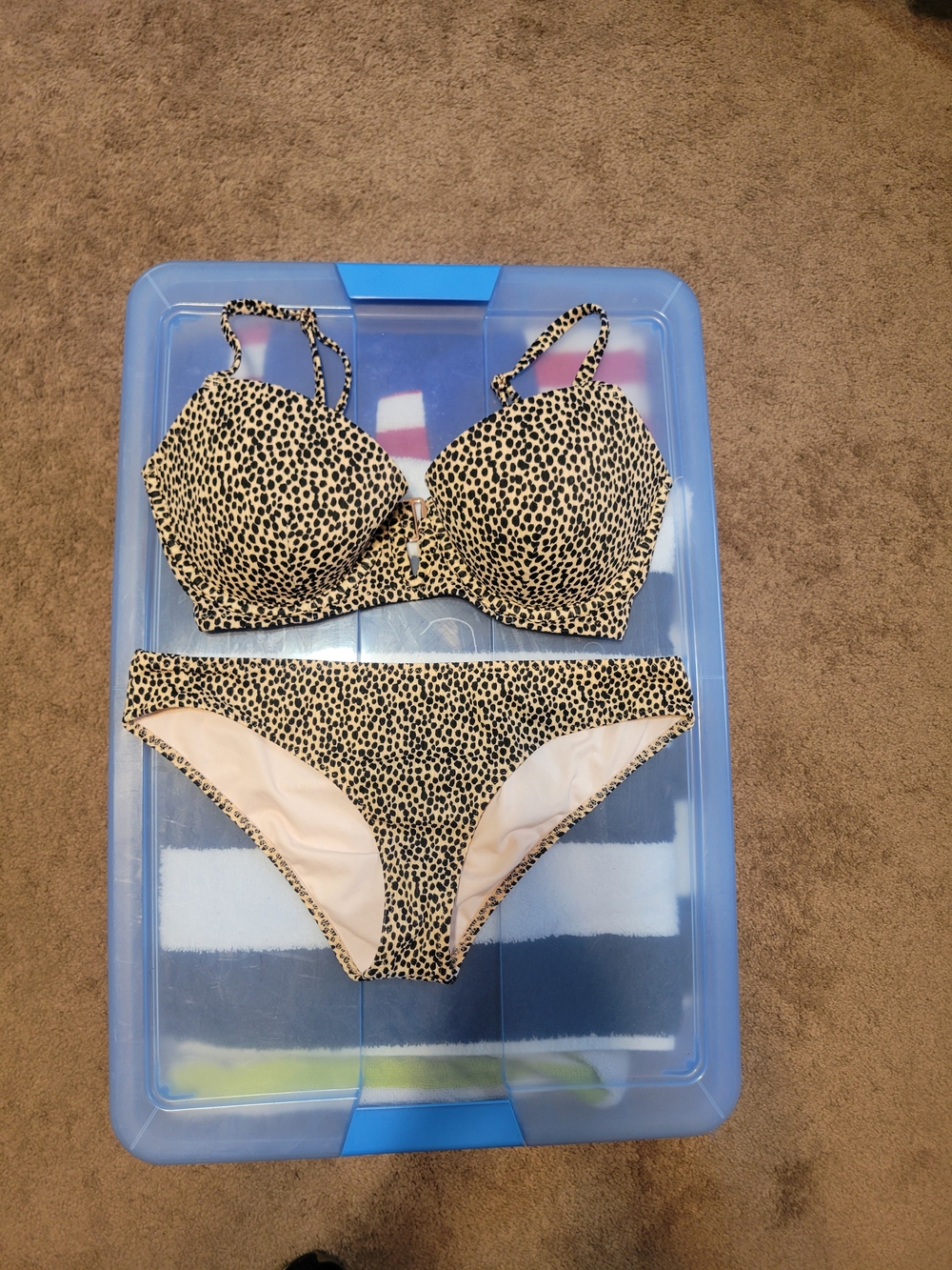 Shade And Shore. Leopard Print Bikini Set in Cream and Black